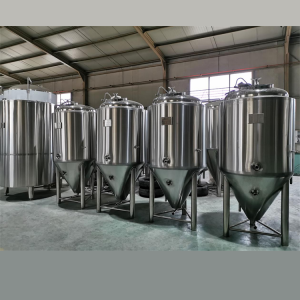 China Cheap price 2000l 20hl Fermenter - 500l 600l 1000l Fermentation Tank – CGBREW