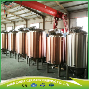  » 1000L Bright Beer Tank