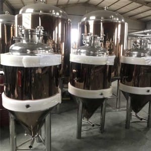  » 100L Beer Brewing Equipment